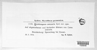 Image Associated With the Occurence